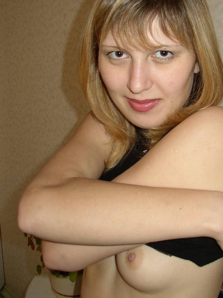 Photo de Zinnia